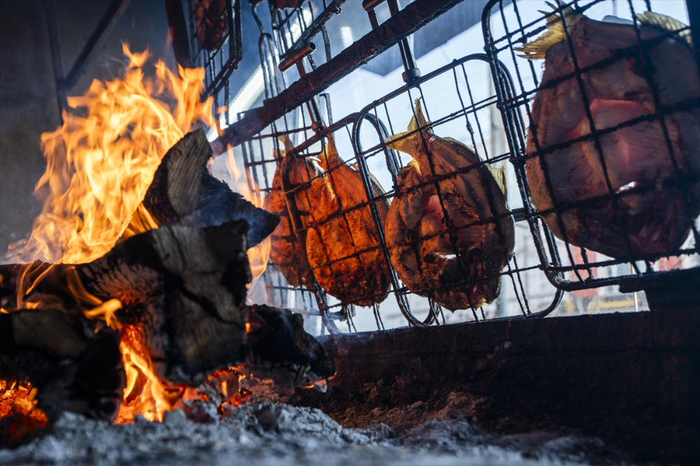 Duhok'taki Irak'ın en büyük balık tesisinde yıllık 1000 ton balık eti üretiliyor