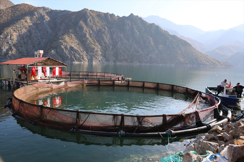 Deriner Barajı'nda yılda 1,4 milyar liralık su ürünleri üretimi hedefleniyor |Balık Haber - Balık TV