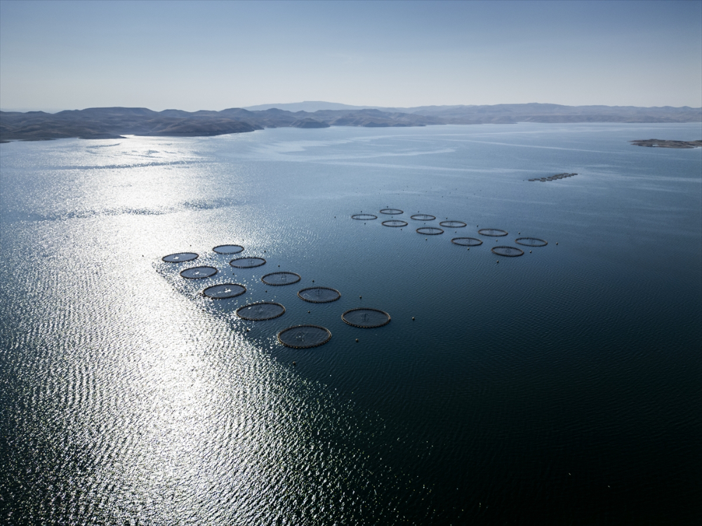 Duhok'taki Irak'ın en büyük balık tesisinde yıllık 1000 ton balık eti üretiliyor |Balık Haber - Balık TV