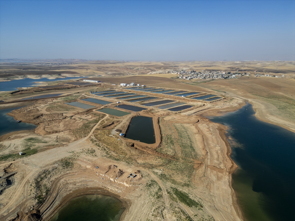 Duhok'taki Irak'ın en büyük balık tesisinde yıllık 1000 ton balık eti üretiliyor |Balık Haber - Balık TV