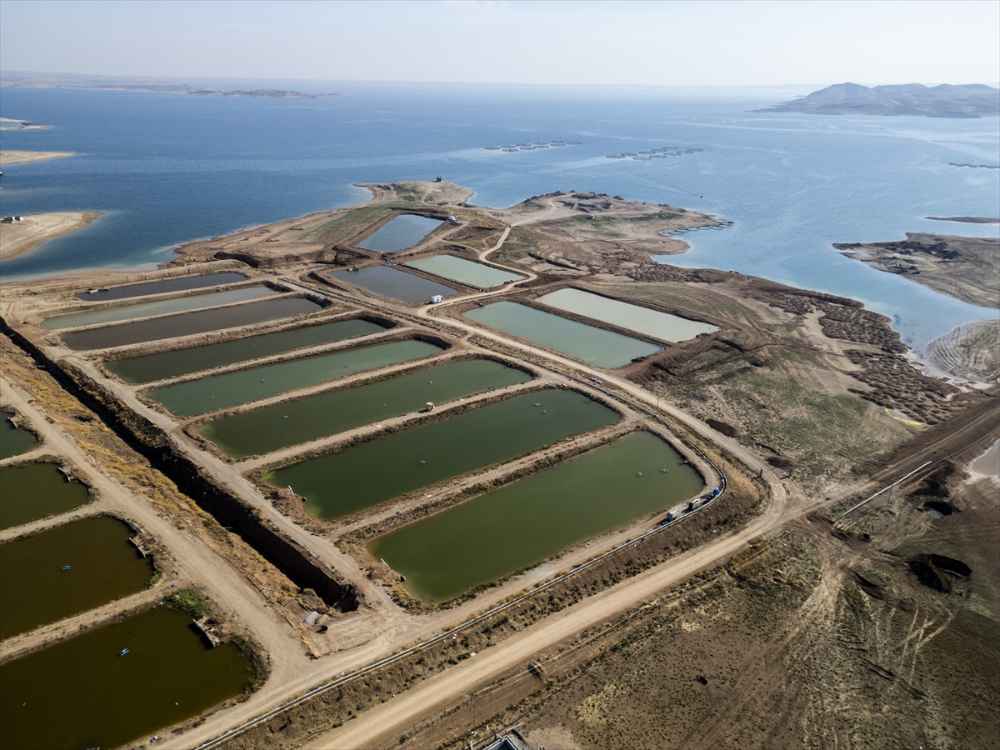 Duhok'taki Irak'ın en büyük balık tesisinde yıllık 1000 ton balık eti üretiliyor |Balık Haber - Balık TV
