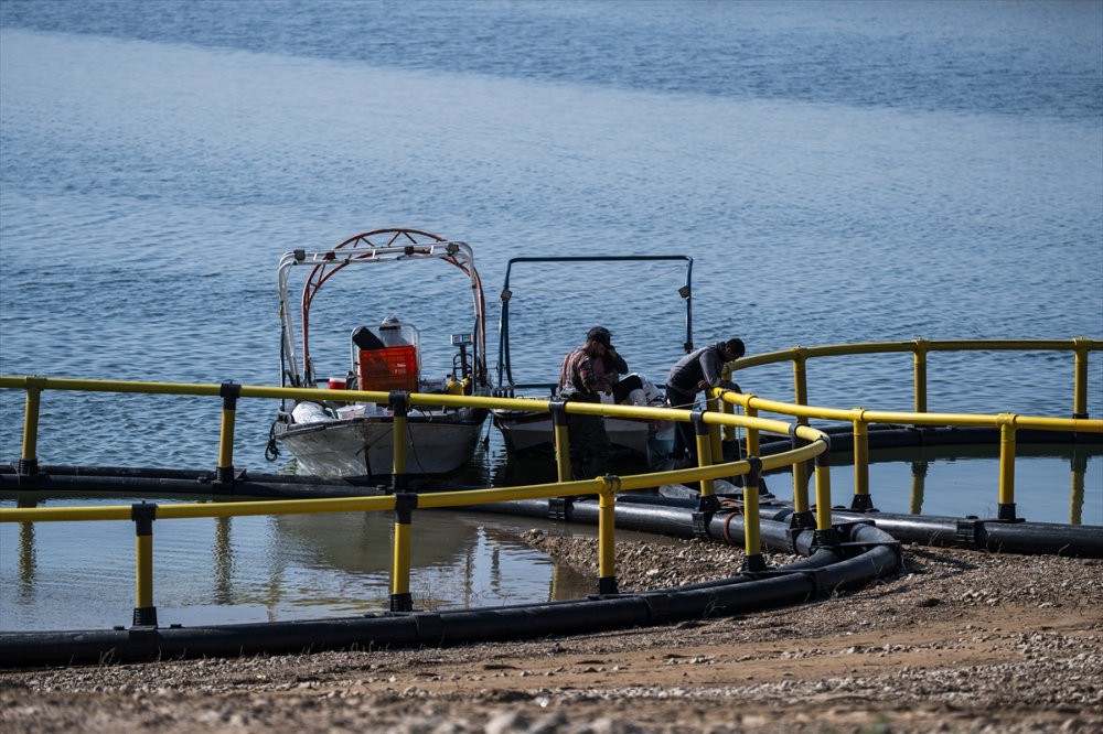 Duhok'taki Irak'ın en büyük balık tesisinde yıllık 1000 ton balık eti üretiliyor |Balık Haber - Balık TV