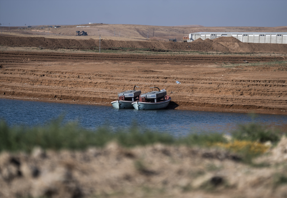 Duhok'taki Irak'ın en büyük balık tesisinde yıllık 1000 ton balık eti üretiliyor |Balık Haber - Balık TV