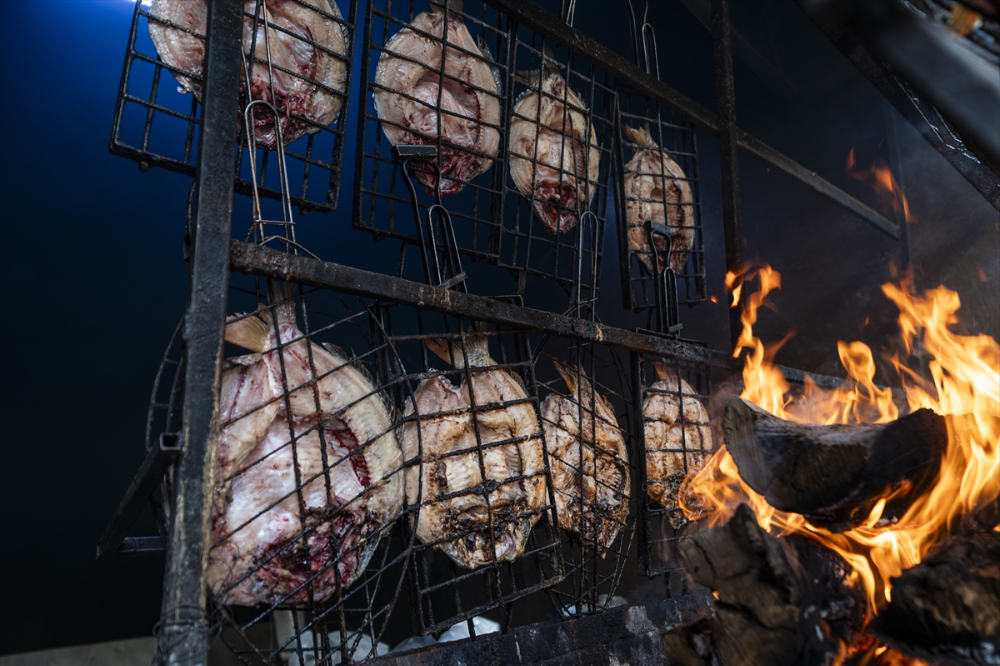 Duhok'taki Irak'ın en büyük balık tesisinde yıllık 1000 ton balık eti üretiliyor |Balık Haber - Balık TV