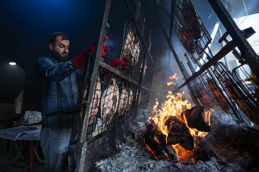 Duhok'taki Irak'ın en büyük balık tesisinde yıllık 1000 ton balık eti üretiliyor |Balık Haber - Balık TV