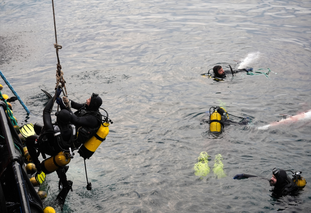 Ege'deki orkinos yetiştiricileri bu sezon ihracat gelirinde artış bekliyor |Balık Haber - Balık TV