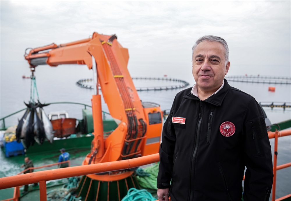 Ege'deki orkinos yetiştiricileri bu sezon ihracat gelirinde artış bekliyor |Balık Haber - Balık TV