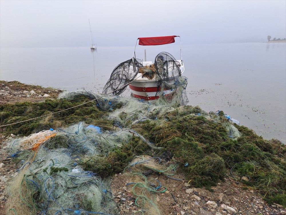 Sapanca Gölü "hayalet ağ"lardan temizleniyor|Balık Haber - Balık TV