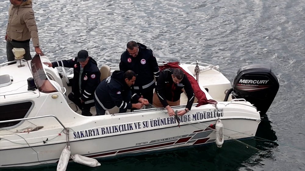 Sapanca Gölü "hayalet ağ"lardan temizleniyor|Balık Haber - Balık TV