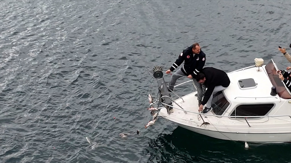 Sapanca Gölü "hayalet ağ"lardan temizleniyor|Balık Haber - Balık TV