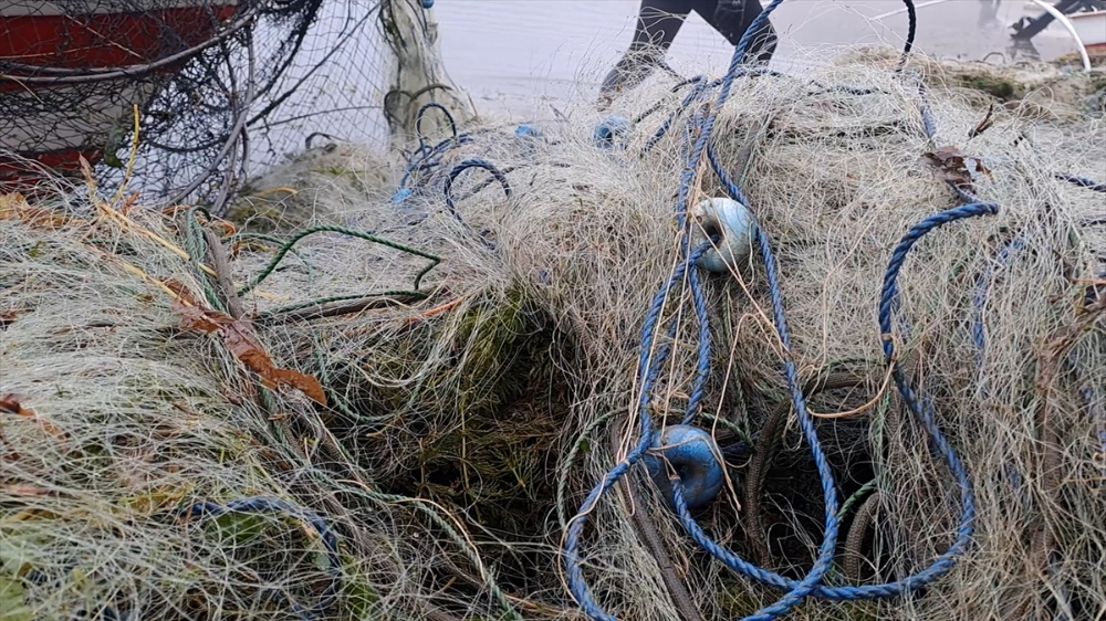 Sapanca Gölü "hayalet ağ"lardan temizleniyor|Balık Haber - Balık TV