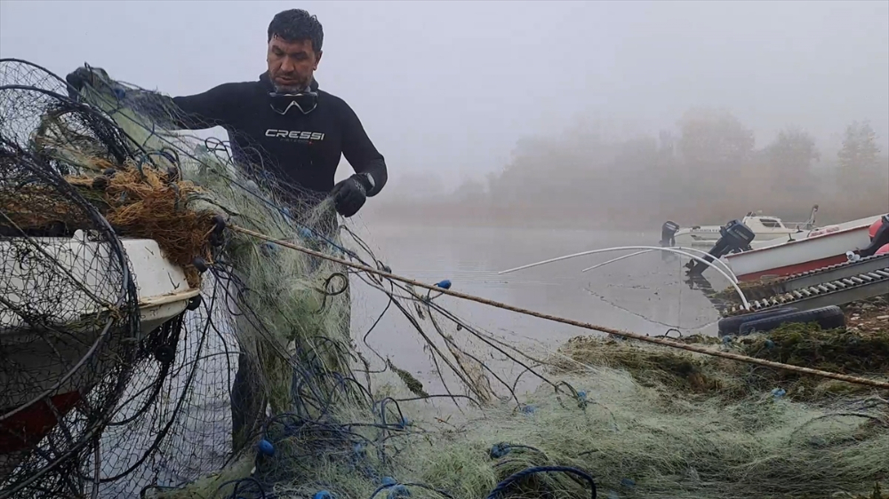 Sapanca Gölü "hayalet ağ"lardan temizleniyor|Balık Haber - Balık TV