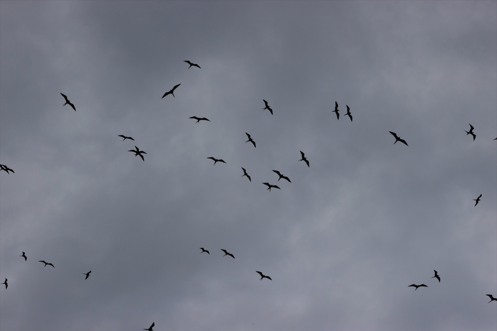 Kolombiya'nın zengin balıkçılık gelenekleriyle tanınan liman kenti Tumaco'da günlük yaşam