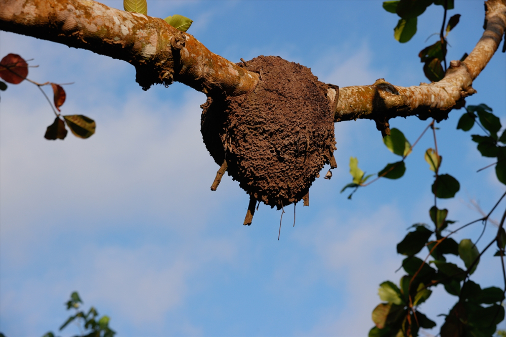 Kolombiya'nın zengin balıkçılık gelenekleriyle tanınan liman kenti Tumaco'da günlük yaşam