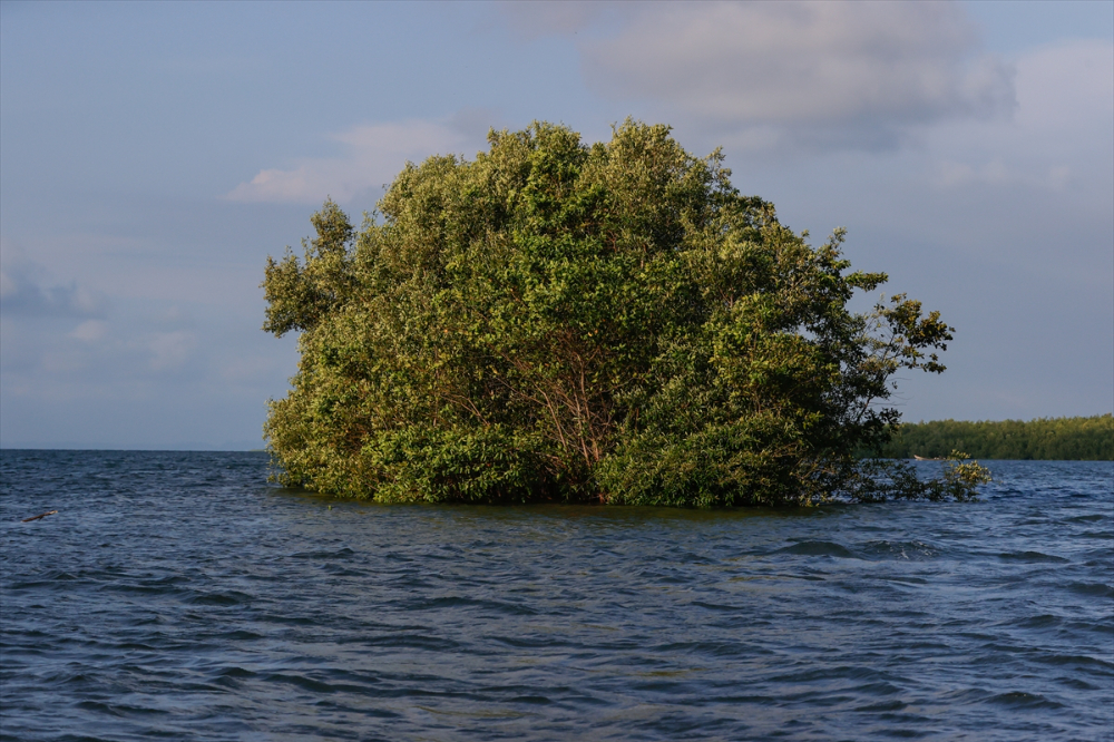 Kolombiya'nın zengin balıkçılık gelenekleriyle tanınan liman kenti Tumaco'da günlük yaşam