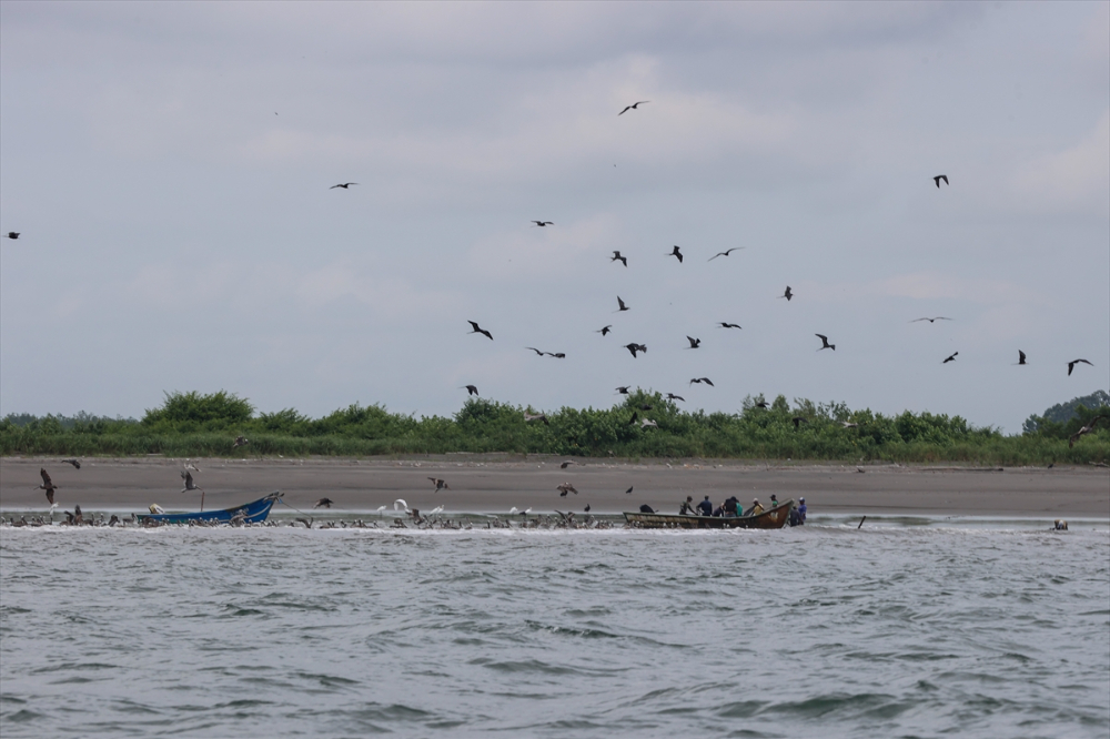 Kolombiya'nın zengin balıkçılık gelenekleriyle tanınan liman kenti Tumaco'da günlük yaşam