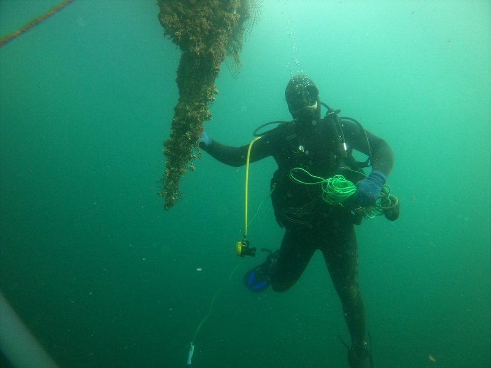Çanakkale'de 500 bin metrekare alan, hayalet ağlardan temizlendi
