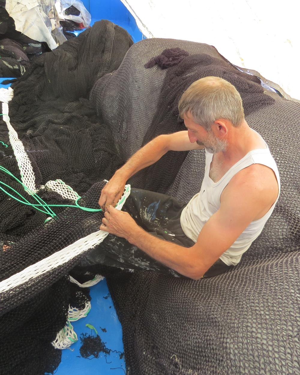 Rumelifeneri Balıkçılık Sezon Hazırlıkları 5 Temmuz 2025