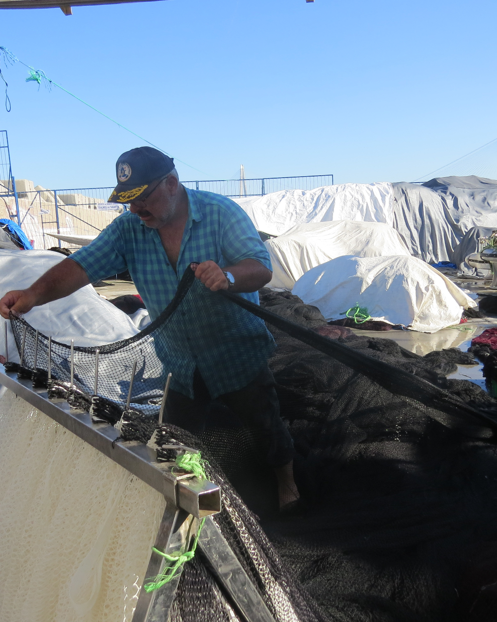 Rumelifeneri Balıkçılık Sezon Hazırlıkları 5 Temmuz 2025