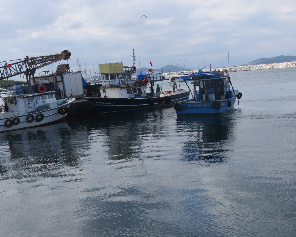 Küçükyalı Balıkçı Barınağı