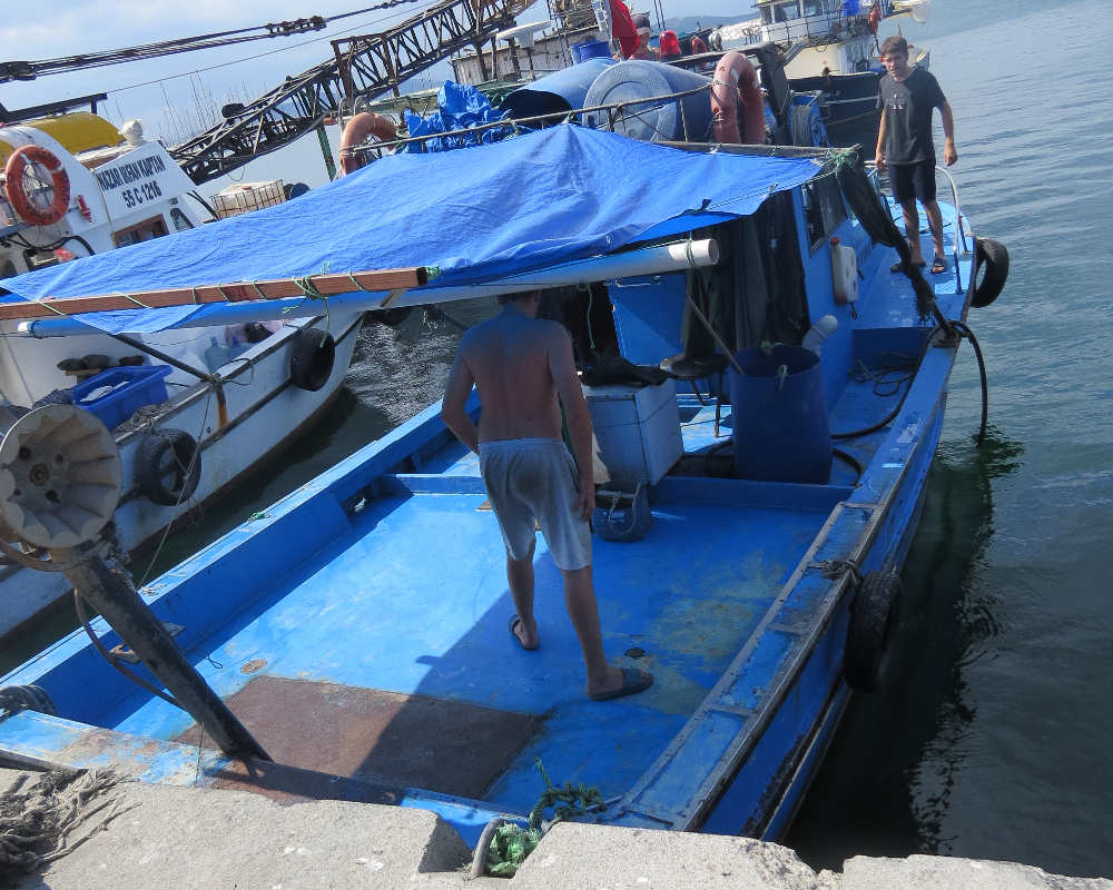 Küçükyalı Balıkçı Barınağı