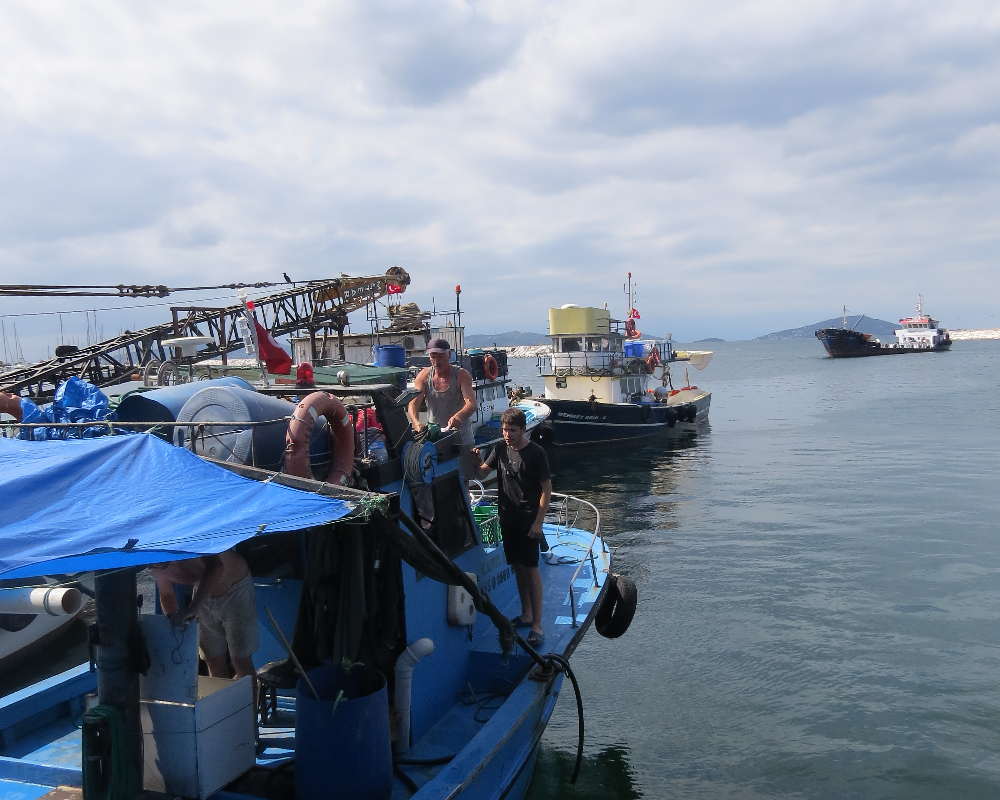 Küçükyalı Balıkçı Barınağı