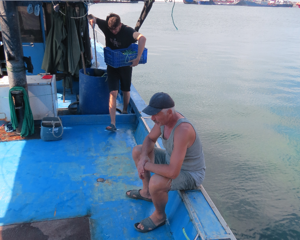 Küçükyalı Balıkçı Barınağı