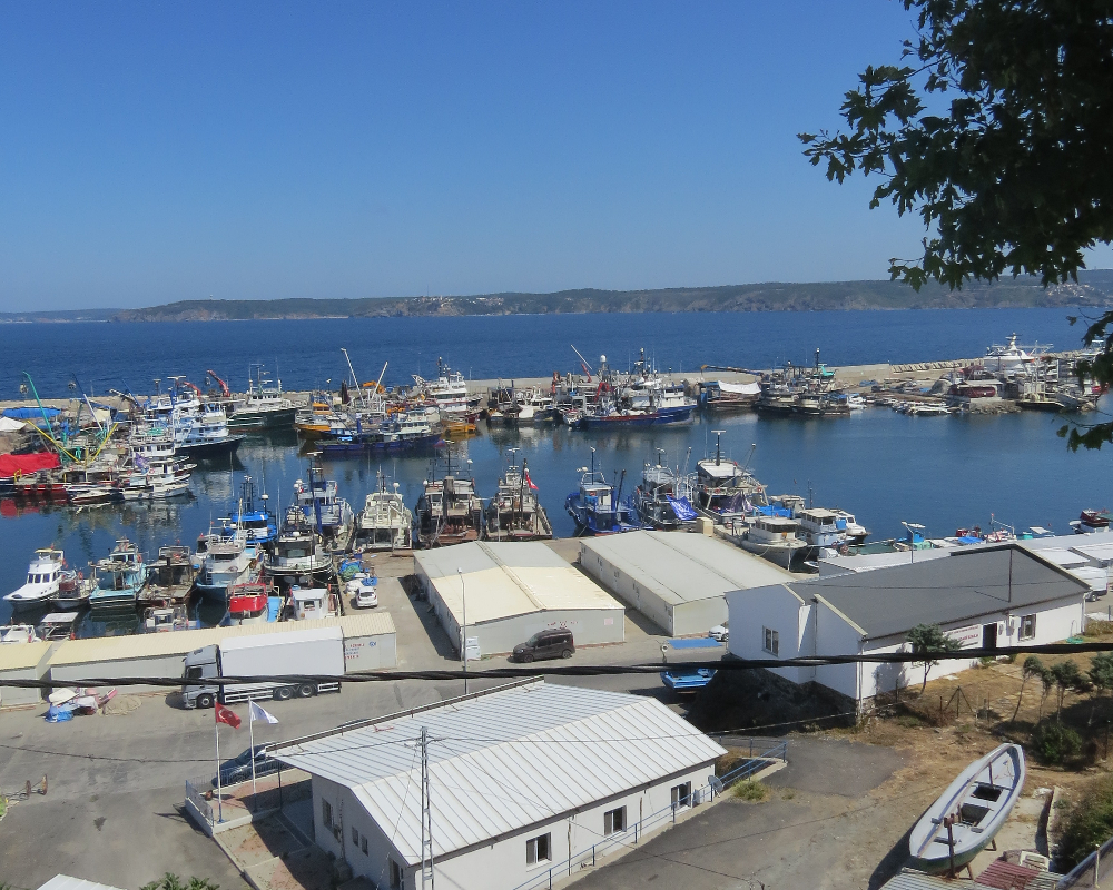 Rumelifeneri Balıkçılık Sezon Hazırlıkları 5 Temmuz 2025