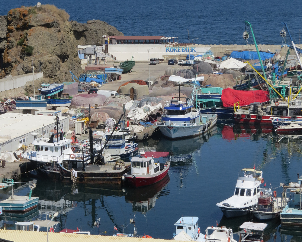 Rumelifeneri Balıkçılık Sezon Hazırlıkları 5 Temmuz 2025