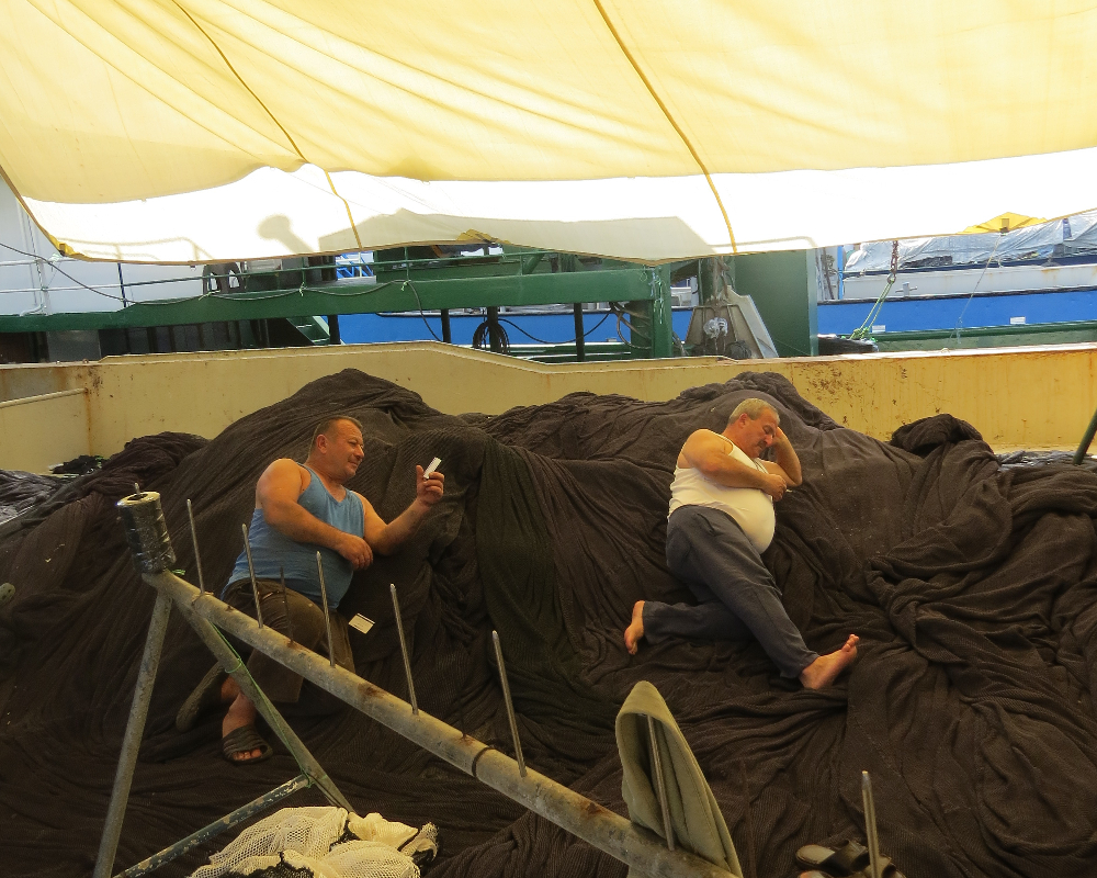 Rumelifeneri Balıkçılık Sezon Hazırlıkları 5 Temmuz 2025