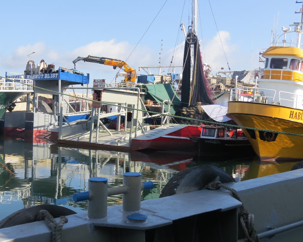 Rumelifeneri Balıkçılık Sezon Hazırlıkları 5 Temmuz 2025