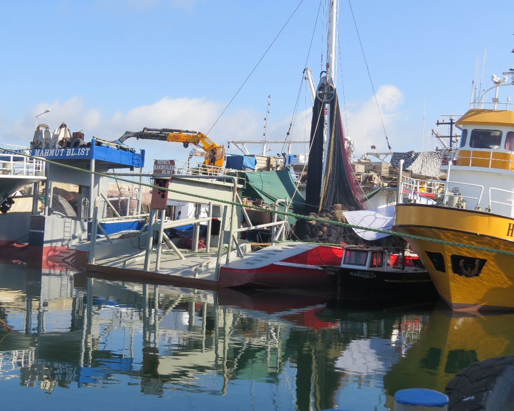 Rumelifeneri Balıkçılık Sezon Hazırlıkları 5 Temmuz 2025