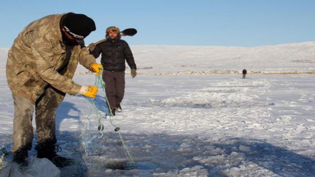 Çıldır Gölü'nde Eskimo usulü balık avı
