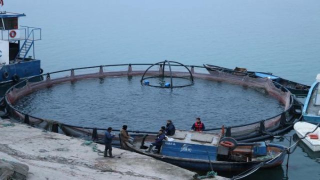 Fırat Nehri'nden Dünyaya...