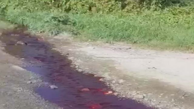 Arnavutköy'de kesilen kurbanların kanı Sazlıdere Barajı'na aktı
