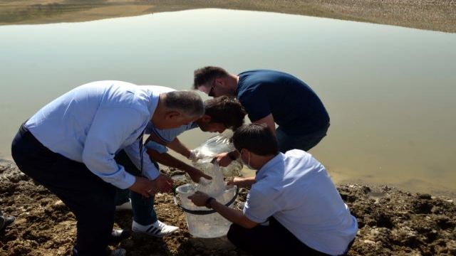 Muş'taki göl, gölet ve barajlara 1 milyon 281 bin 300 yavru sazan bırakıldı