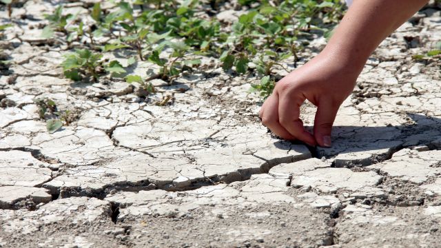 Hatay'da kuraklık Yarseli Barajı'nı vurdu