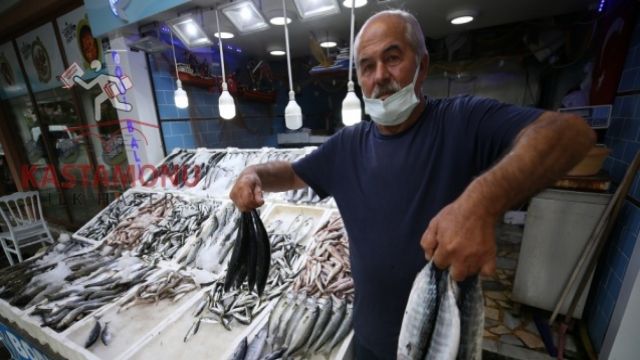 Ordu'da av yasağının sona ermesiyle balık tezgahları doldu