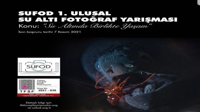 SUFOD 1. Ulusal Su Altı Fotoğraf Yarışması