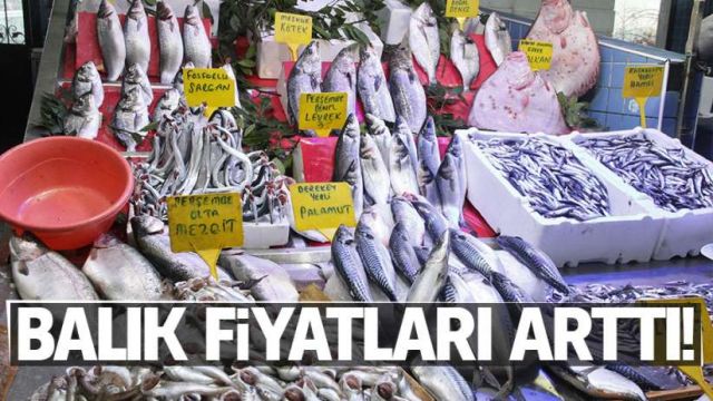Samsun'da balık fiyatları