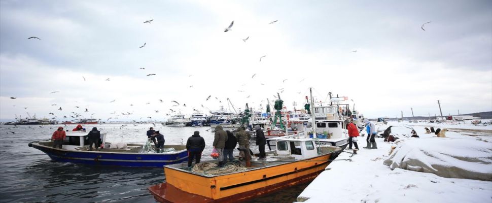 Hamsi bolluğunun yaşandığı İğneada'da balıkçılara hava muhalefeti engel oldu