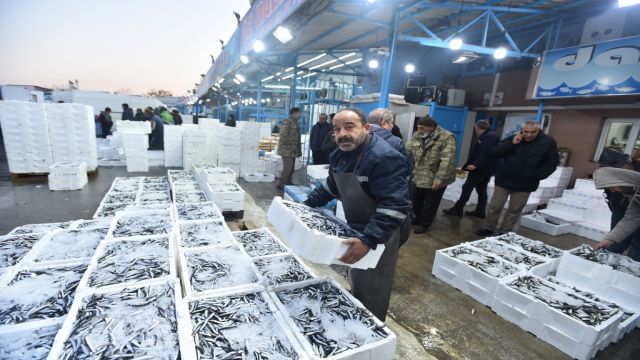Yenilenen Ankara Toptancı Balık Hali 23 Nisan'da açılacak