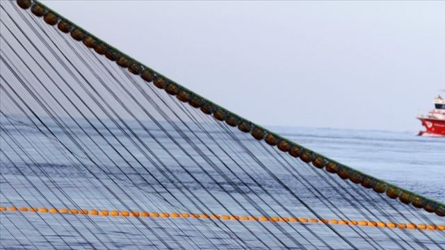 Küçük boyda palamut avı yasağına uymayanlara para cezası uygulandı