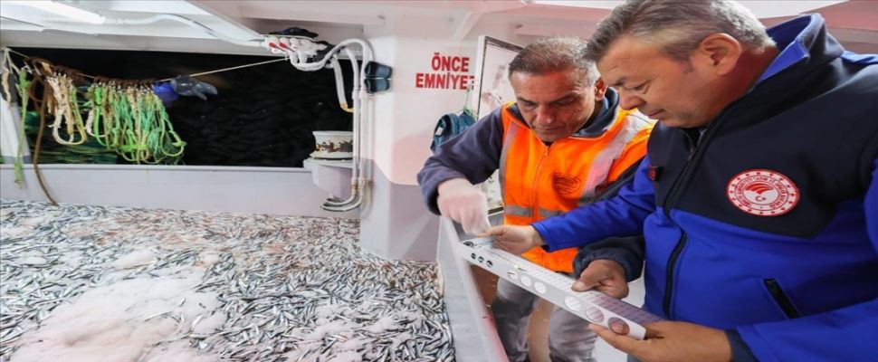 İzmir açıklarında avlanan balıkçı tekneleri denetlendi