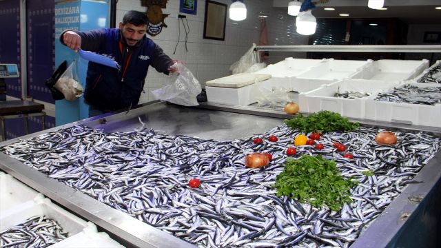 Karadeniz'de palamudun ardından hamside de bolluk yaşanıyor