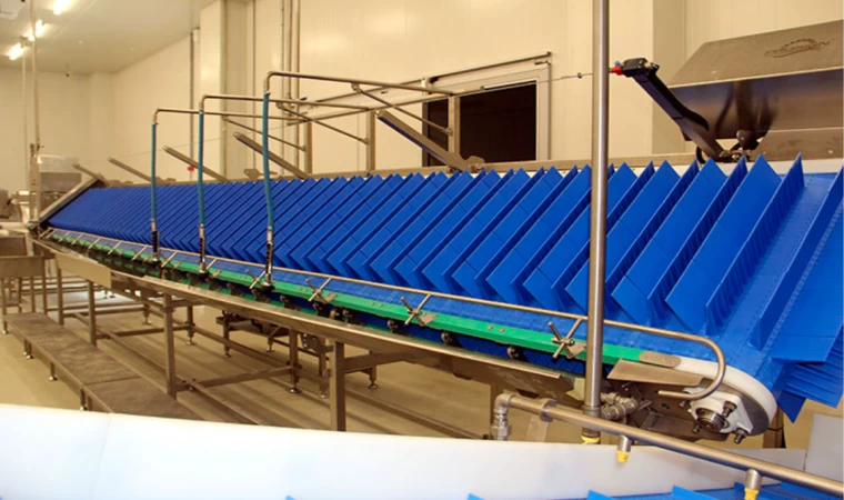 Sinop'ta 10,5 milyon avroluk yatırımla balık işleme ve paketleme tesisi kuruldu