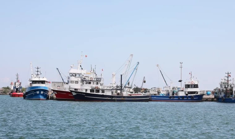 Karadenizli balıkçılar bu yıl da bereketli bir sezon bekliyor