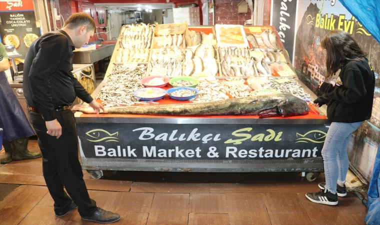 Amasya'da 65 kilogramlık yayın balığı yakalandı