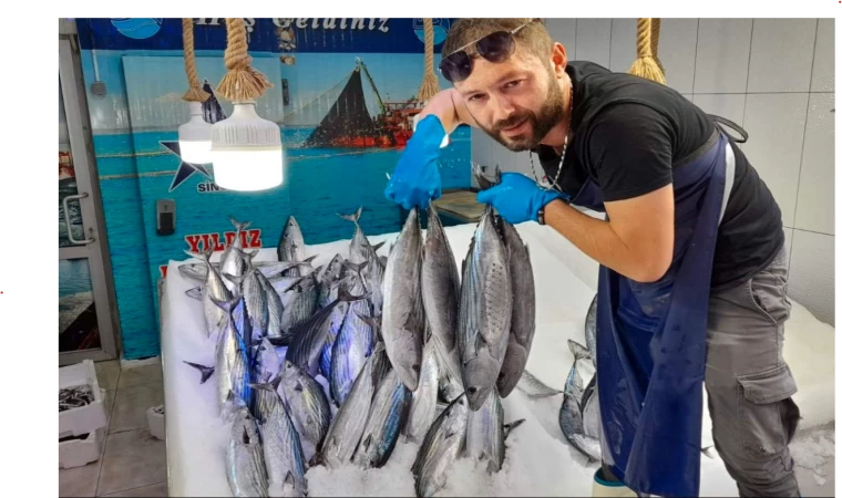 Sinop'ta balıkçıların ağlarına torik takıldı
