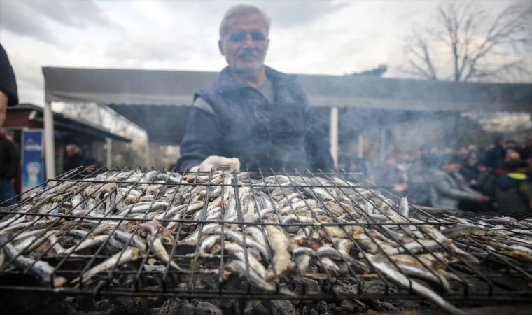 Bursa'da düzenlenen "Karadeniz Hamsi Festivali"nde bir ton balık dağıtıldı